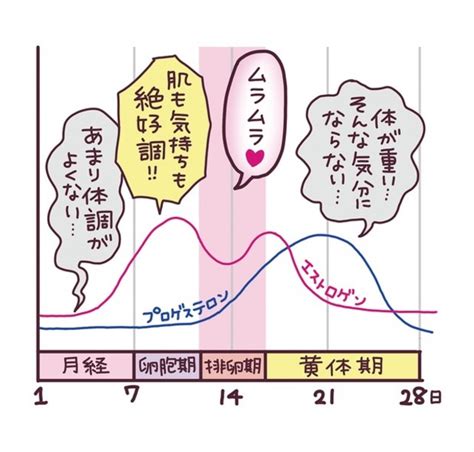 生理前になると性欲が高まるって本当？ 産婦人科医がアンサー！